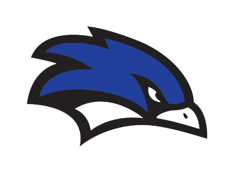 Peru Nighthawks logo